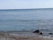 Mady busty topless on beach