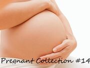 Pregnant Compilation #14