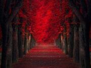 Fitsexyme - Canadian Call Girl Out On Call In Australia