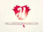 Harley Rose - Nerdy POV Blowjob