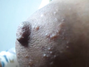 Puffy Nipples large areolas  hairy Paradise part.1