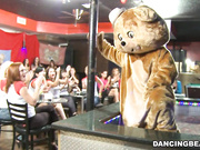 Dancing Bear 2 2