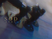 STARS-141 Bonded Suzu Honjo