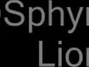 MyFreeCams SphynxLions Rough Daddy Premium Video HD