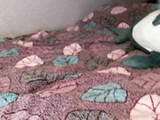 blossom__babe GND wet see thru