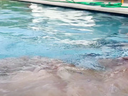 Natalie Roush Nude Boobs Wet Pool PPV